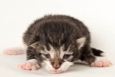 20150610_e2-kull_1_week_0064