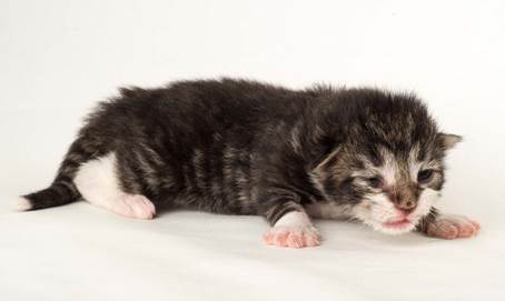 20150610_e2-kull_1_week_0073