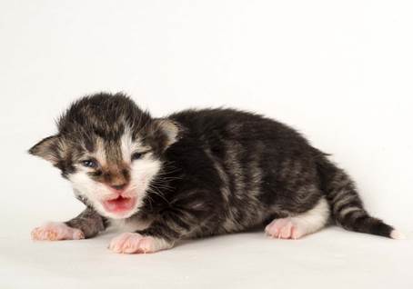 20150610_e2-kull_1_week_0084