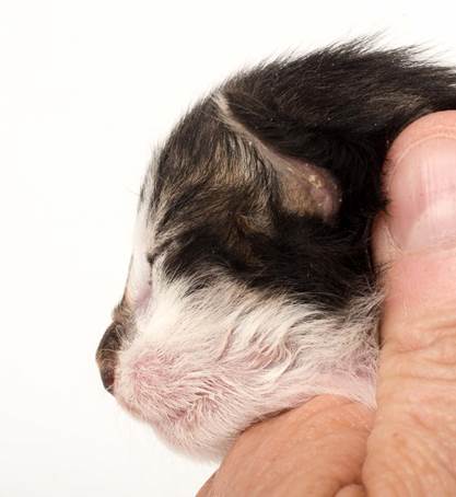 20150610_e2-kull_1_week_0081