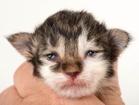 20150610_e2-kull_1_week_0080