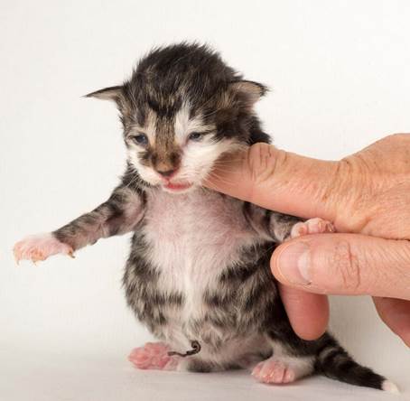 20150610_e2-kull_1_week_0078