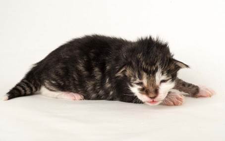 20150610_e2-kull_1_week_0085