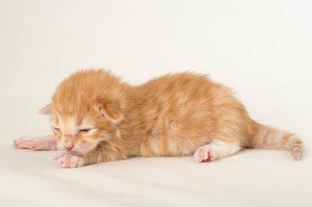 20150610_e2-kull_1_week_0100