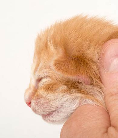 20150610_e2-kull_1_week_0098