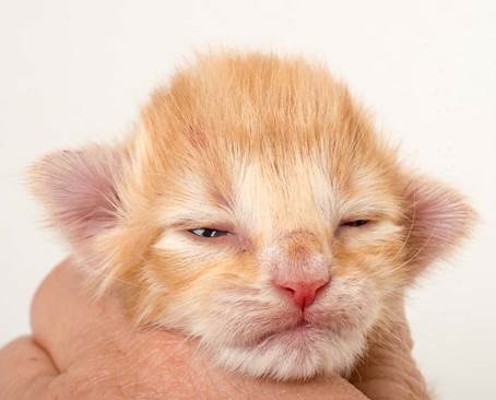 20150610_e2-kull_1_week_0094