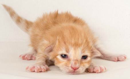 20150610_e2-kull_1_week_0088