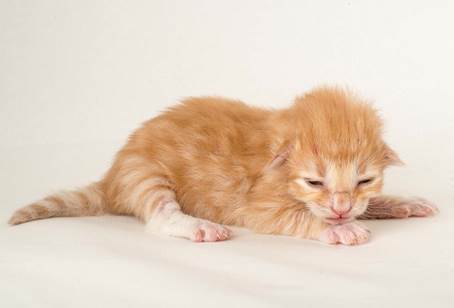 20150610_e2-kull_1_week_0101