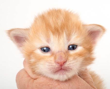 20150618_e2-kull_2_weeks_0006