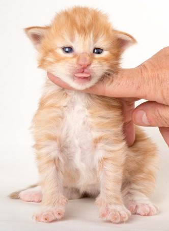 20150618_e2-kull_2_weeks_0004