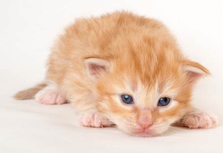 20150618_e2-kull_2_weeks_0003