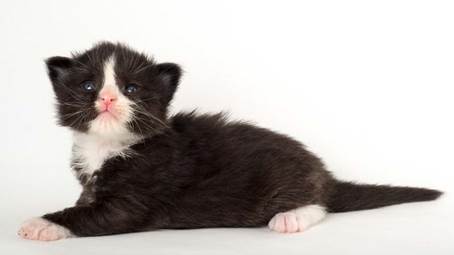 20150618_e2-kull_2_weeks_0030