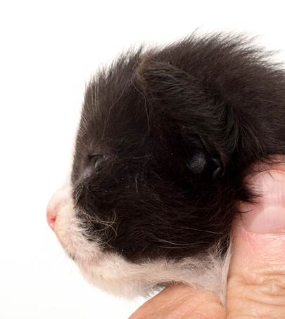 20150618_e2-kull_2_weeks_0026