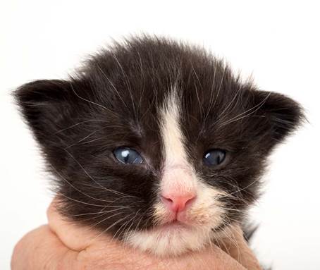 20150618_e2-kull_2_weeks_0024