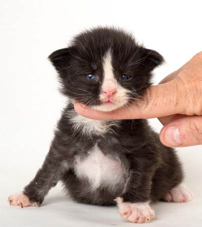 20150618_e2-kull_2_weeks_0023