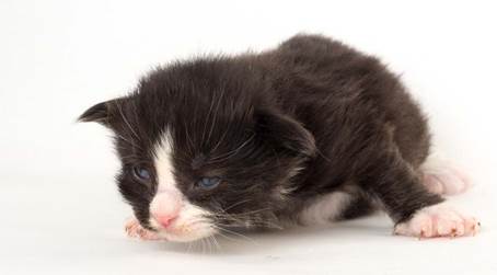 20150618_e2-kull_2_weeks_0019