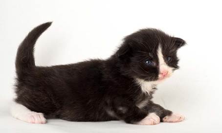 20150618_e2-kull_2_weeks_0033