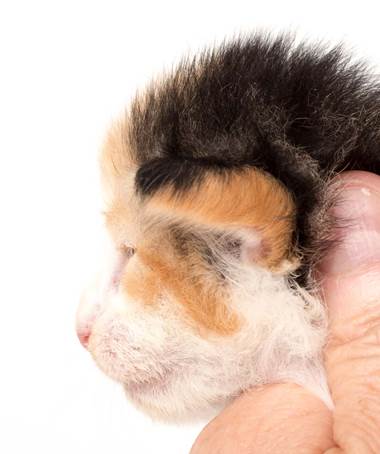 20150618_e2-kull_2_weeks_0049