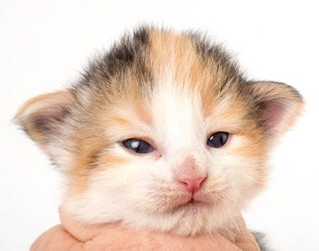 20150618_e2-kull_2_weeks_0045