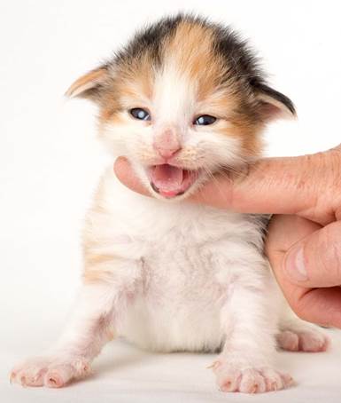 20150618_e2-kull_2_weeks_0039