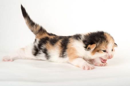 20150618_e2-kull_2_weeks_0054