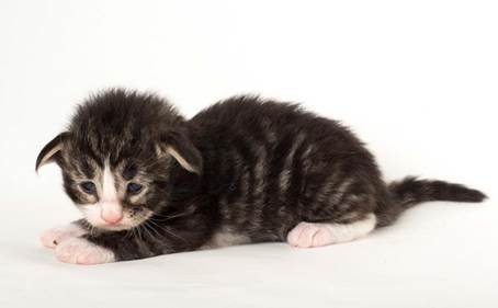 20150618_e2-kull_2_weeks_0074