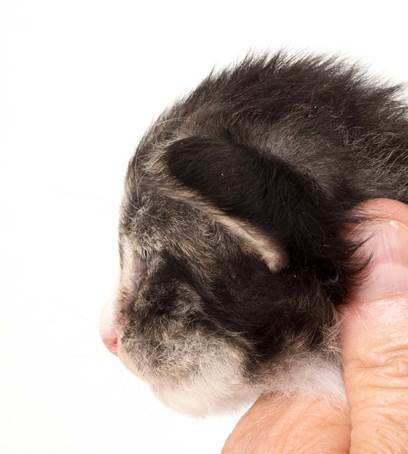 20150618_e2-kull_2_weeks_0070