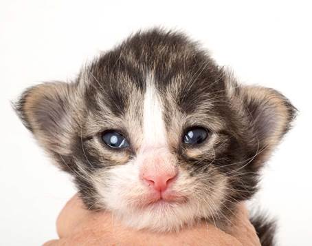 20150618_e2-kull_2_weeks_0065