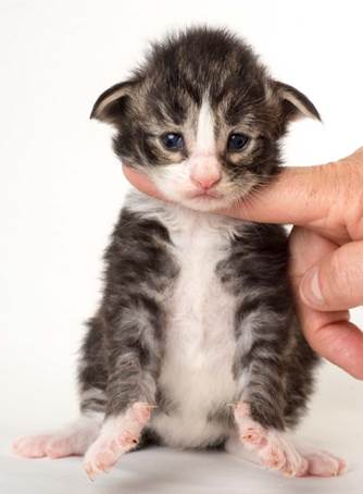 20150618_e2-kull_2_weeks_0061