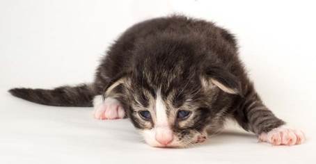 20150618_e2-kull_2_weeks_0057-Edit