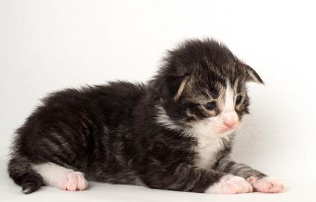 20150618_e2-kull_2_weeks_0079