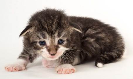 20150618_e2-kull_2_weeks_0098