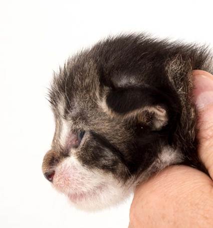 20150618_e2-kull_2_weeks_0096