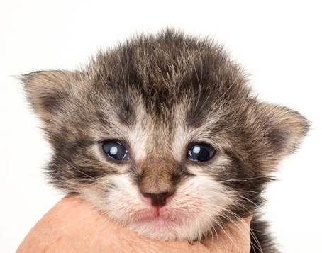 20150618_e2-kull_2_weeks_0090