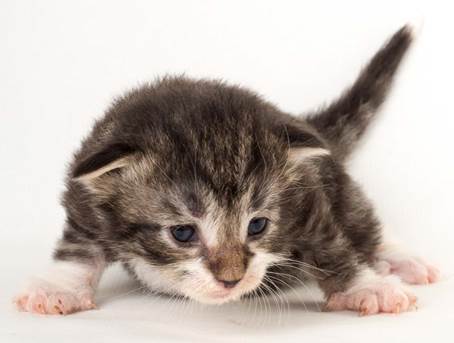 20150618_e2-kull_2_weeks_0081