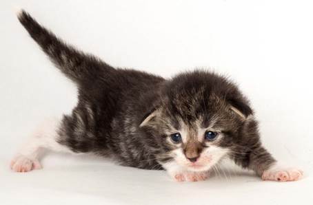 20150618_e2-kull_2_weeks_0100