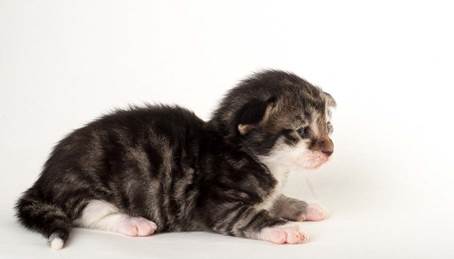 20150618_e2-kull_2_weeks_0119