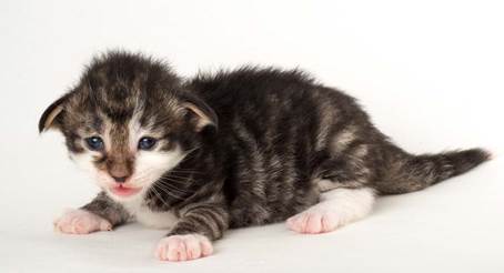 20150618_e2-kull_2_weeks_0117