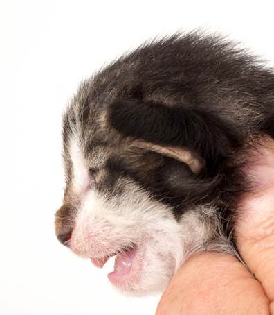 20150618_e2-kull_2_weeks_0115