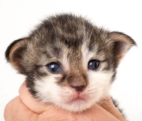 20150618_e2-kull_2_weeks_0109