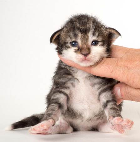 20150618_e2-kull_2_weeks_0108