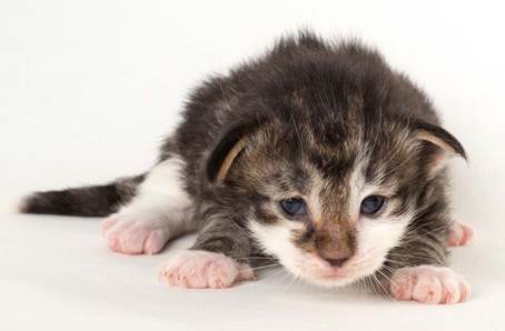 20150618_e2-kull_2_weeks_0104