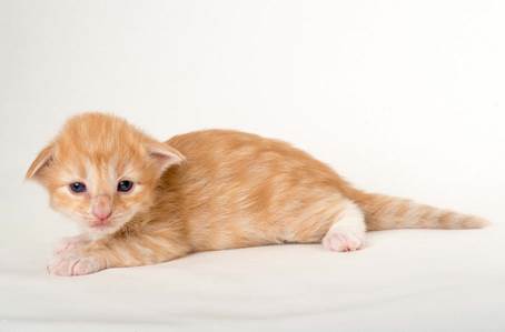 20150618_e2-kull_2_weeks_0142