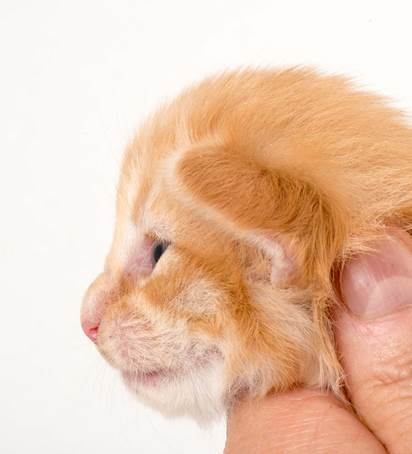 20150618_e2-kull_2_weeks_0139