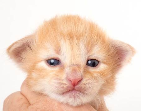 20150618_e2-kull_2_weeks_0136