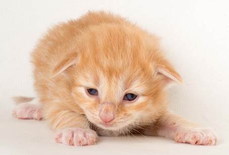 20150618_e2-kull_2_weeks_0123