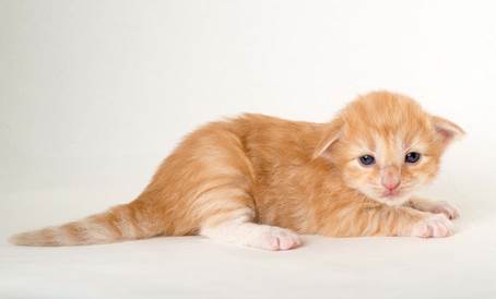 20150618_e2-kull_2_weeks_0143