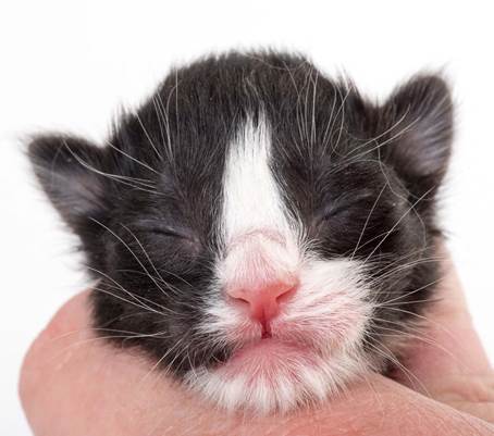 20150603_e2-kull_newborn_0038