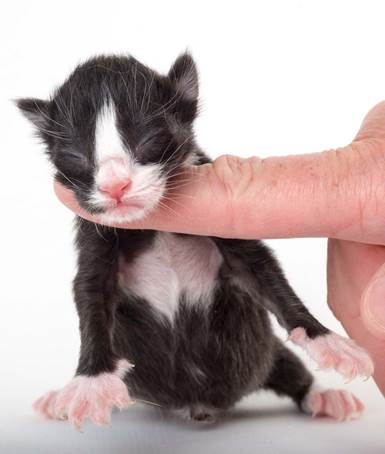 20150603_e2-kull_newborn_0037