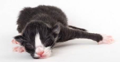 20150603_e2-kull_newborn_0034